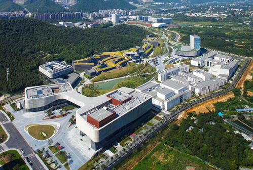 浙江四大強縣 建筑之鄉的崛起之路